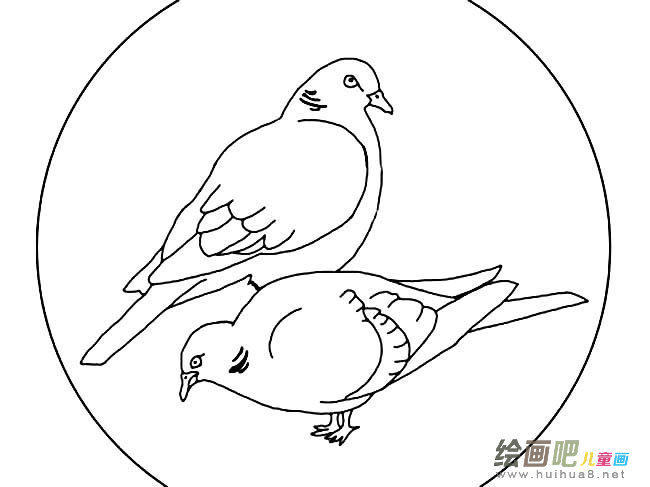 和平鸽简笔画图片