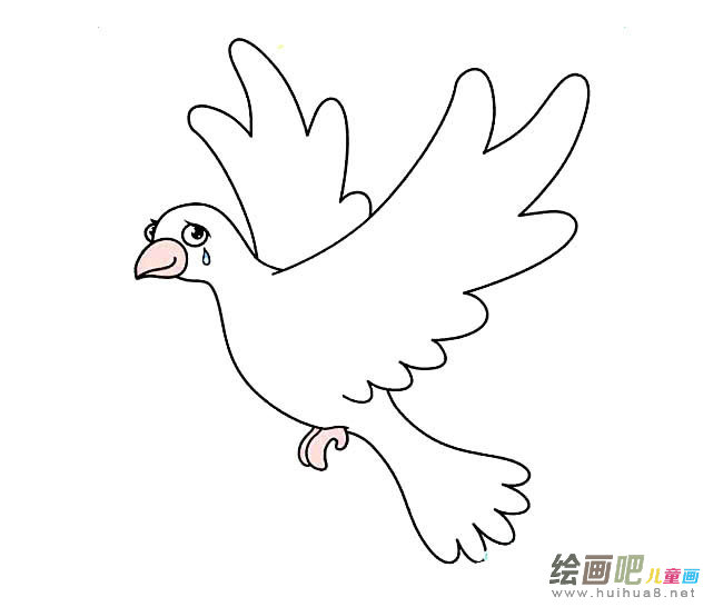 和平鸽简笔画图片