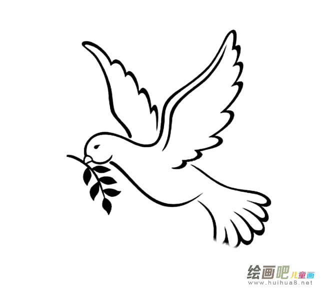 和平鸽简笔画图片