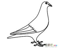 /jianbihua/dongwujianbi/29749.html