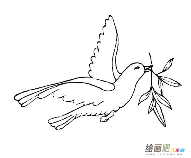 和平鸽简笔画图片