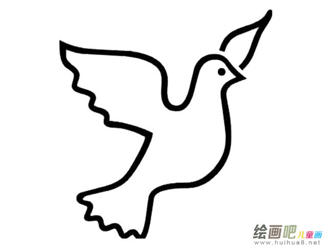 和平鸽简笔画图片