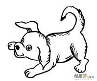 /jianbihua/dongwujianbi/29580.html