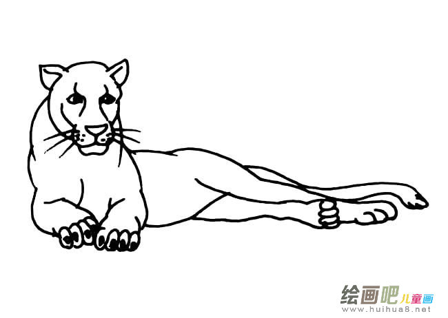 休息的母狮子简笔画图片