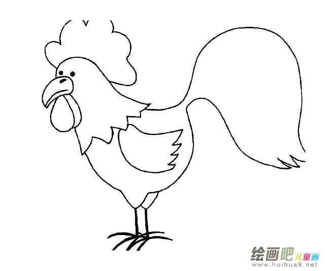 大公鸡简笔画图片