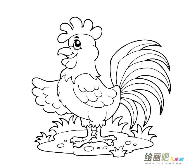 卡通大公鸡简笔画图片