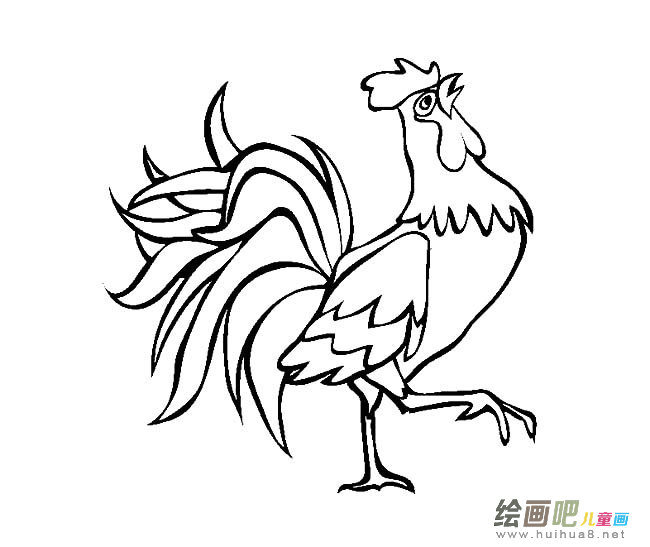 昂首挺胸的大公鸡简笔画图片