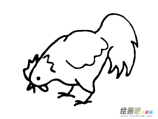 吃东西的公鸡简笔画图片