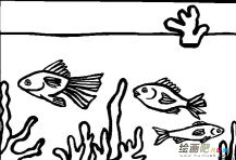 /jianbihua/dongwujianbi/29312.html