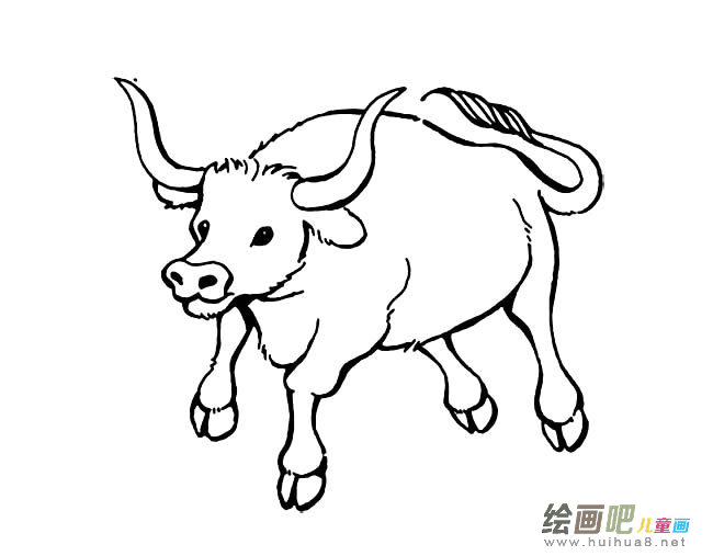老黄牛简笔画图片