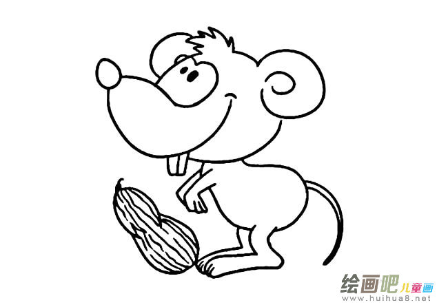 老鼠和花生简笔画图片