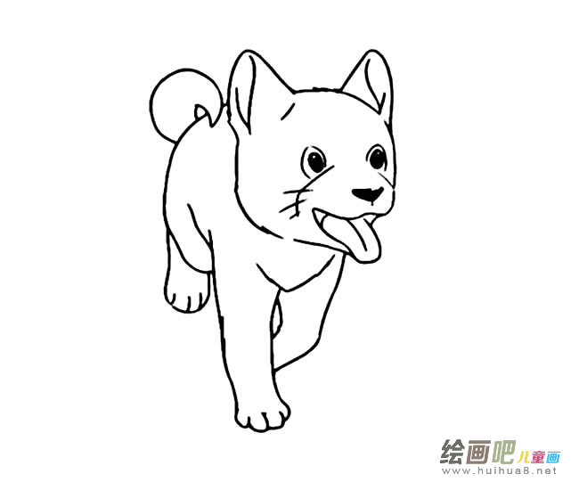 秋田犬简笔画图片