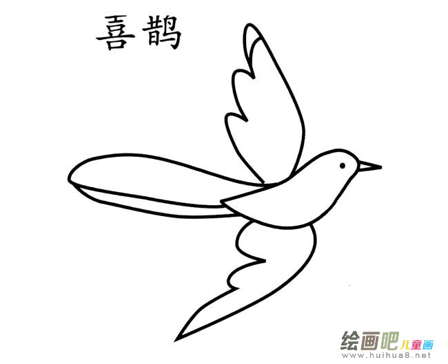 手绘喜鹊简笔画图片