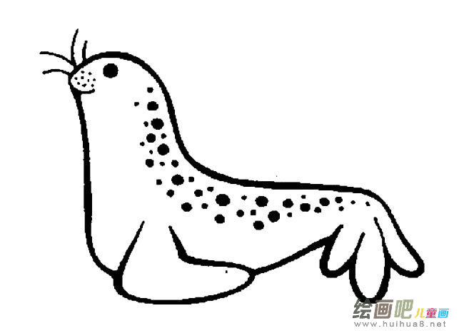 可爱的海豹简笔画图片