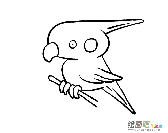 鹦鹉鸟简笔画图片