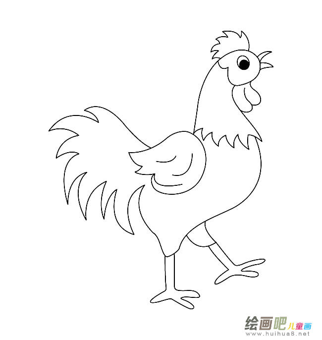 大公鸡简笔画图片