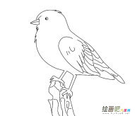 /jianbihua/dongwujianbi/29069.html