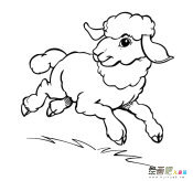 /jianbihua/dongwujianbi/28833.html