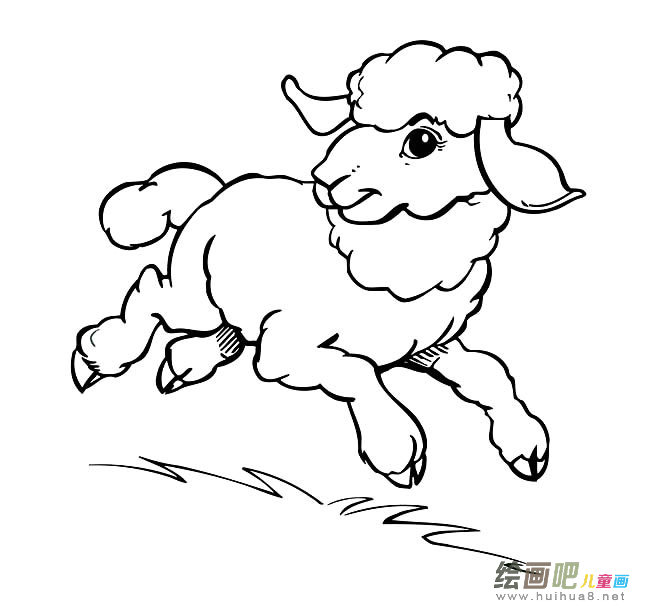 奔跑的绵羊简笔画图片