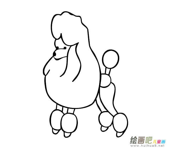 贵宾犬简笔画图片