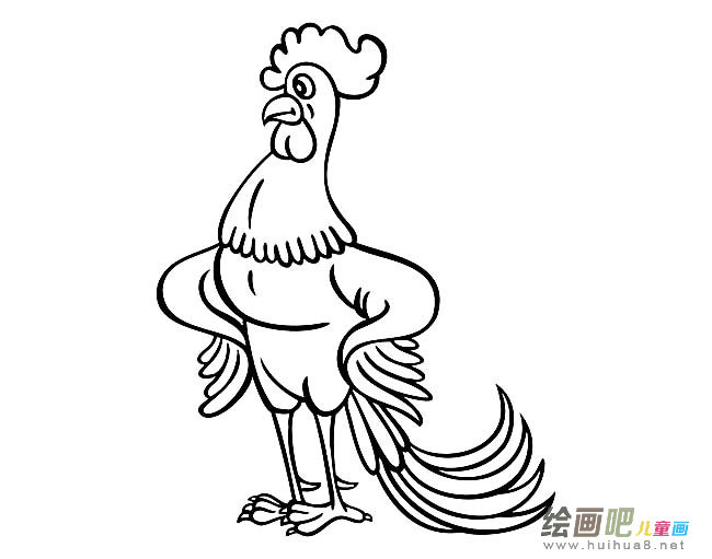 帅气卡通大公鸡简笔画图片