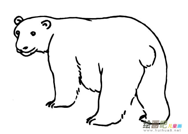 北极熊简笔画图片大全