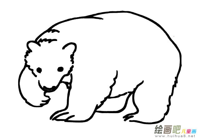 北极熊简笔画图片大全