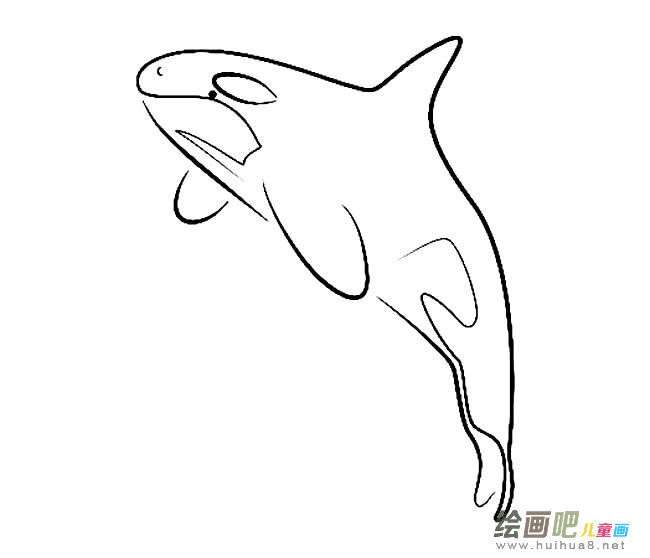 鲨鱼虎鲸简笔画图片