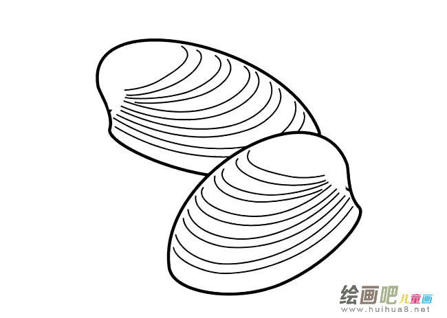 两只河蚌简笔画图片