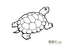 /jianbihua/dongwujianbi/28434.html