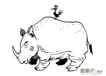 /jianbihua/dongwujianbi/28156.html