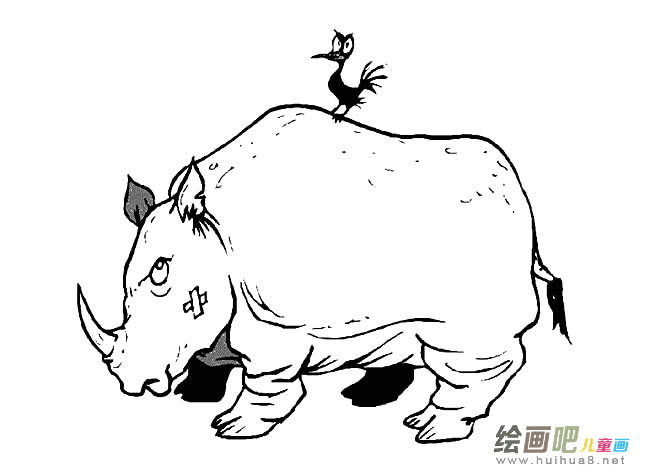 强壮的犀牛简笔画图片