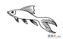 /jianbihua/dongwujianbi/28181.html