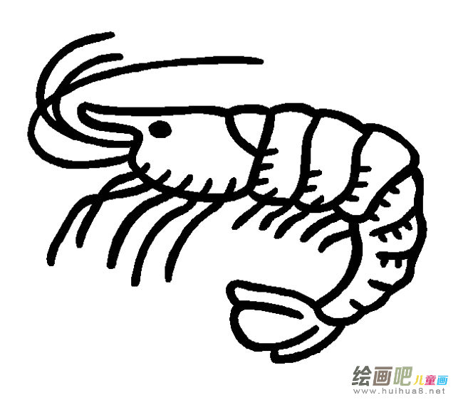 虾米简笔画步骤图片大全