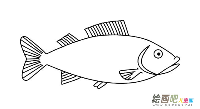 鱼儿简笔画步骤图片大全