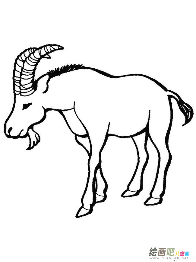 山羊简笔画步骤图片大全