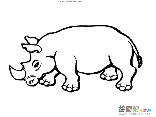 大犀牛简笔画步骤图片大全