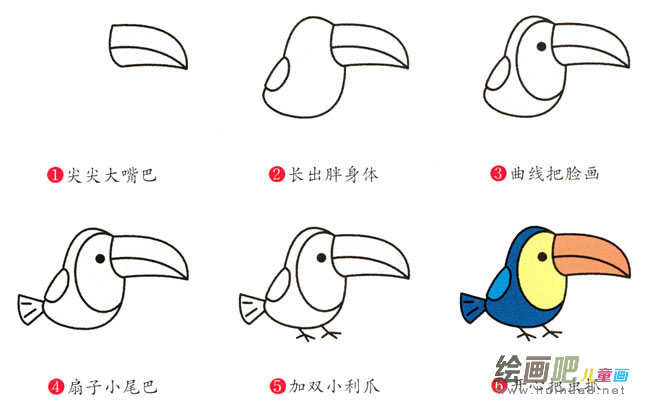 巨嘴鸟动物简笔画步骤图片大全
