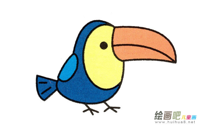 巨嘴鸟动物简笔画步骤图片大全