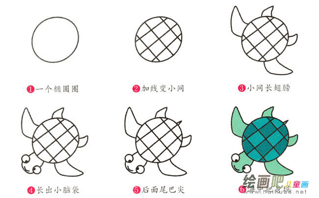小海龟动物简笔画步骤图片大全
