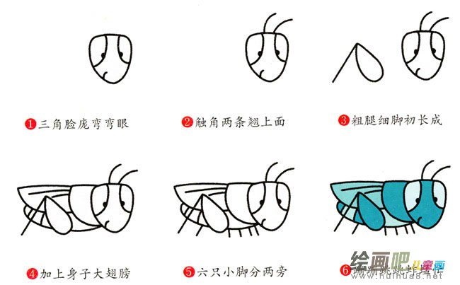 蚱蜢动物简笔画步骤图片大全