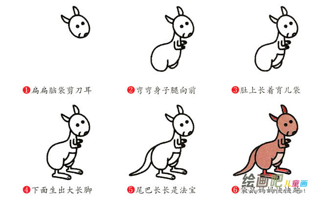 袋鼠动物简笔画步骤图片大全