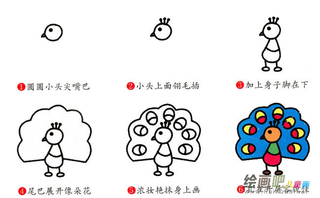 孔雀动物简笔画步骤图片大全