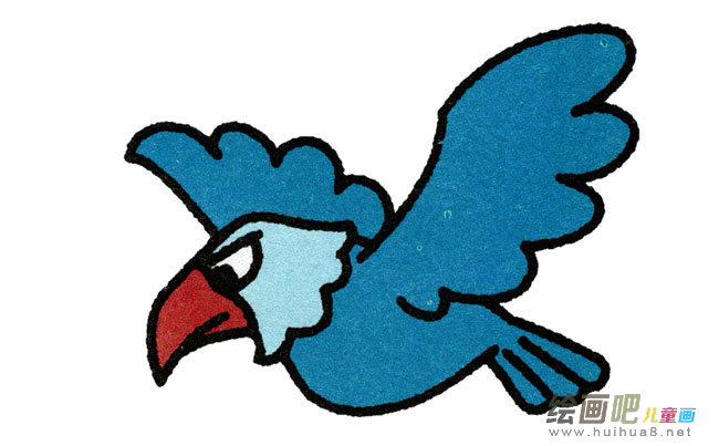 老鹰动物简笔画步骤图片大全