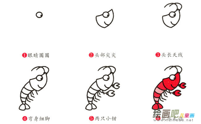 龙虾动物简笔画步骤图片大全