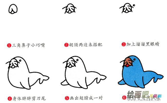 海豹动物简笔画步骤图片大全