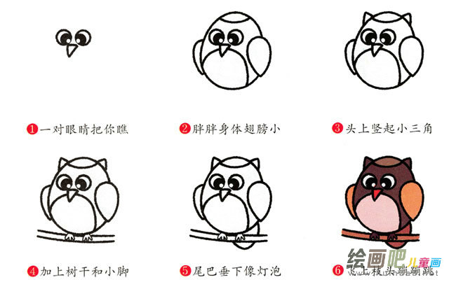 猫头鹰动物简笔画步骤图片大全