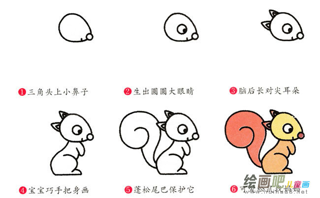 松鼠动物简笔画步骤图片大全