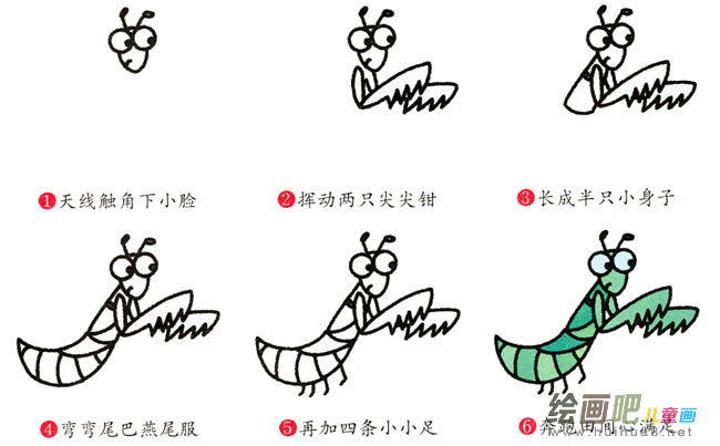 螳螂动物简笔画步骤图片大全