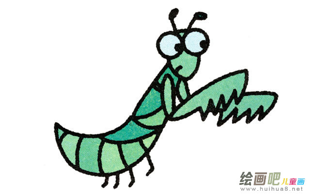 螳螂动物简笔画步骤图片大全